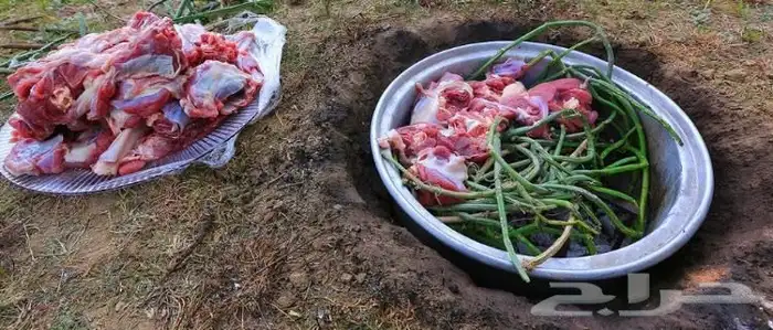 مرخ وسلع قريب كبري الفحص المونسيه 0