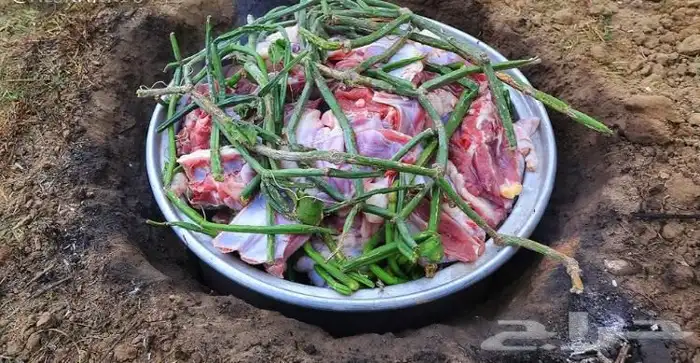 مرخ وسلع قريب كبري الفحص المونسيه 1