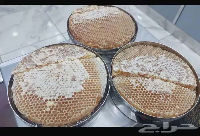 عسل سدر دوعني وعسل السمره فاخر 1