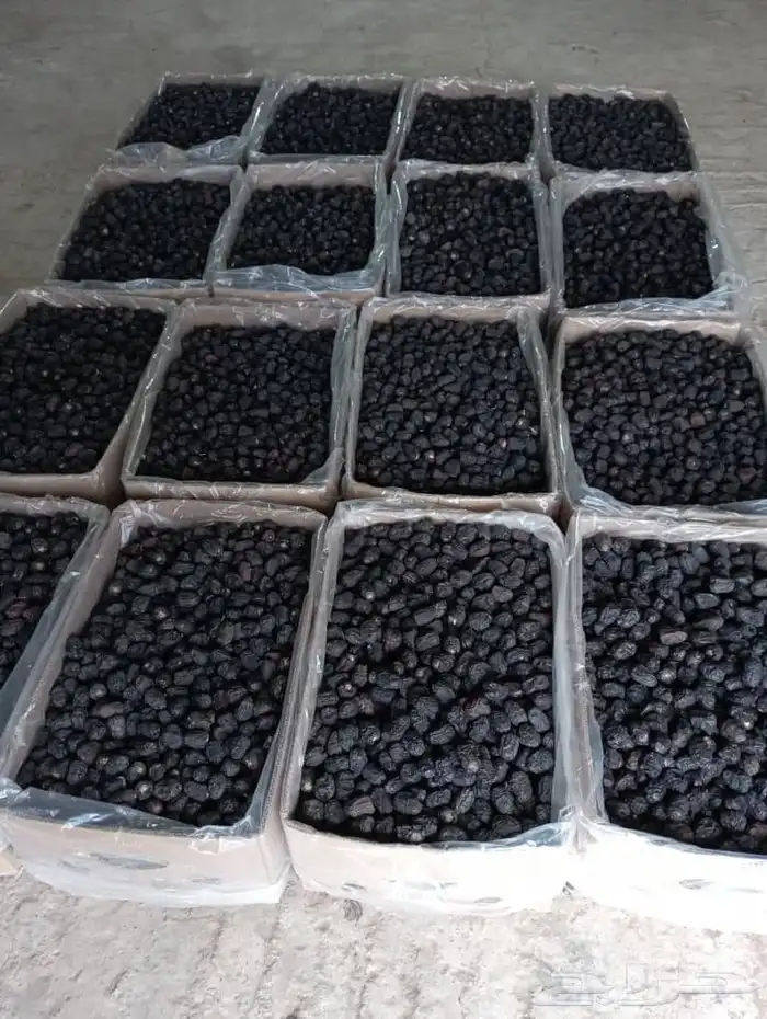 عجوة المدينة انتاج السنة درجة أولى سعر الكيلو 20 ريال (عدد ا 3