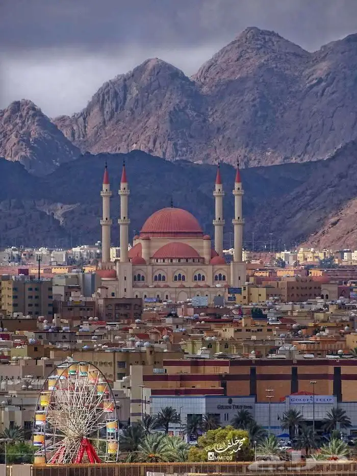 مطلوب سياره رافور فل كامل نظيفه 0