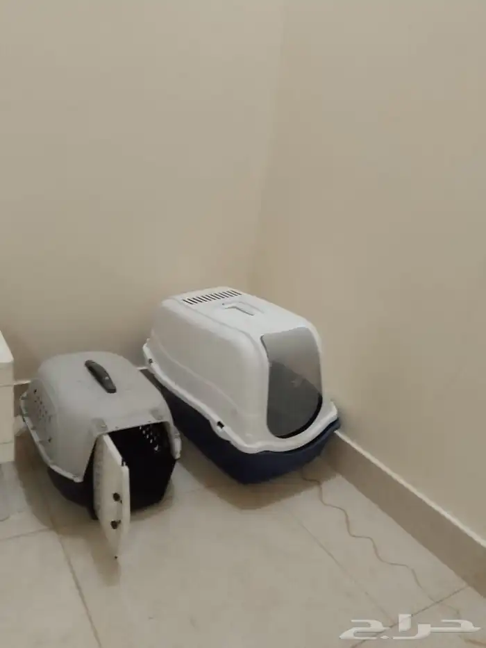بيت قطط 0
