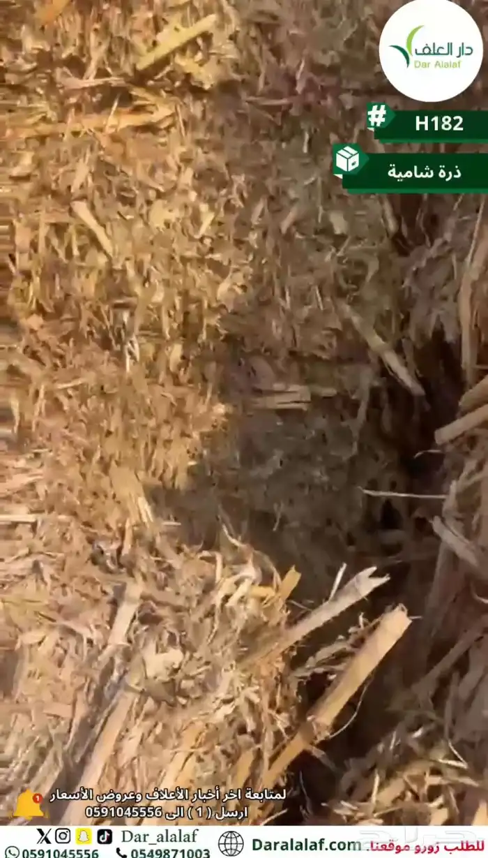 عرض خاص لمربي الإبل 2