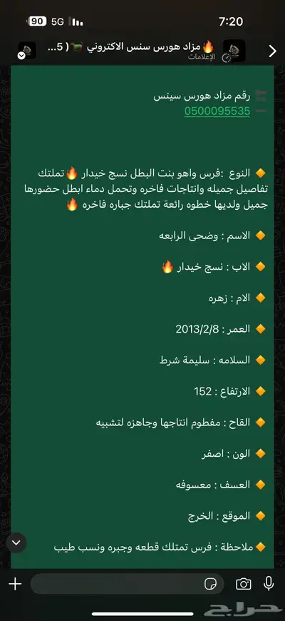 فرس واهو بنت الاسطور نسج خيدار index