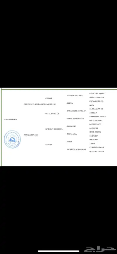 فرس واهو بنت الاسطور نسج خيدار index