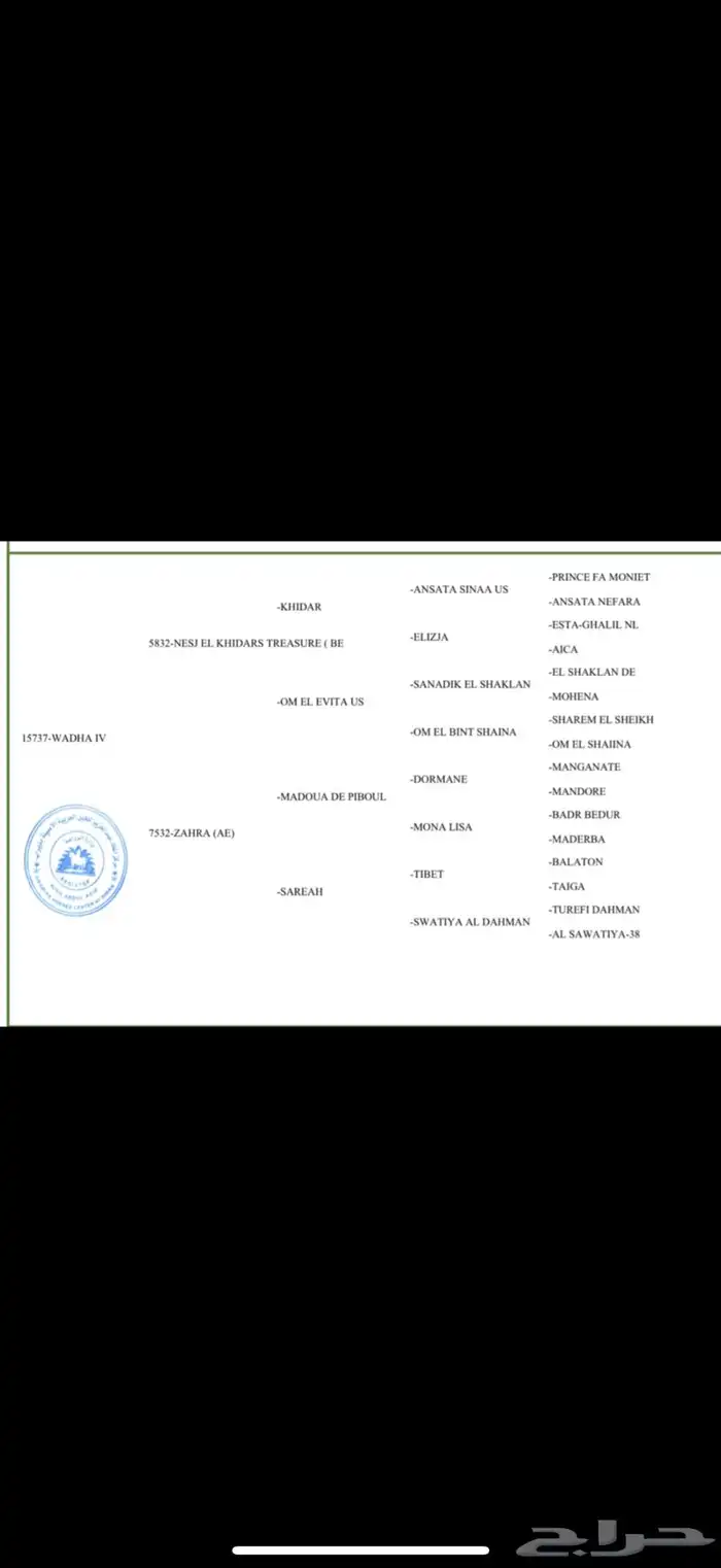 فرس واهو بنت الاسطور نسج خيدار 5