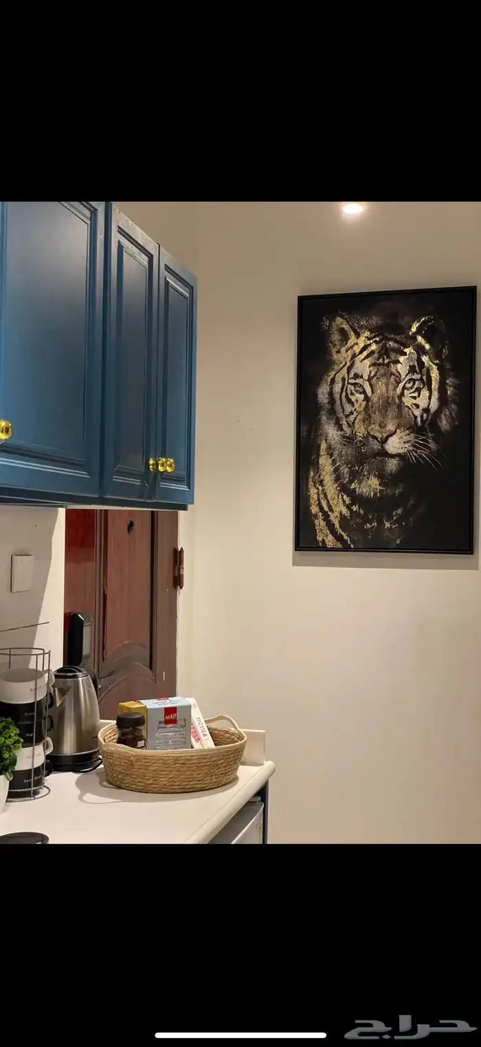 شقه سينمائيه للايجار اليومي والاسبوعي في جيزان 10