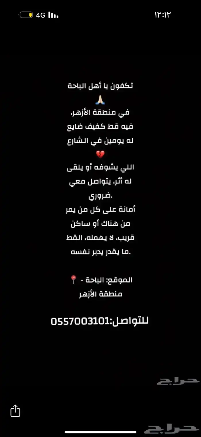 قط كفيف ضائع مكافأة 1500 ريال لمن يجده 13