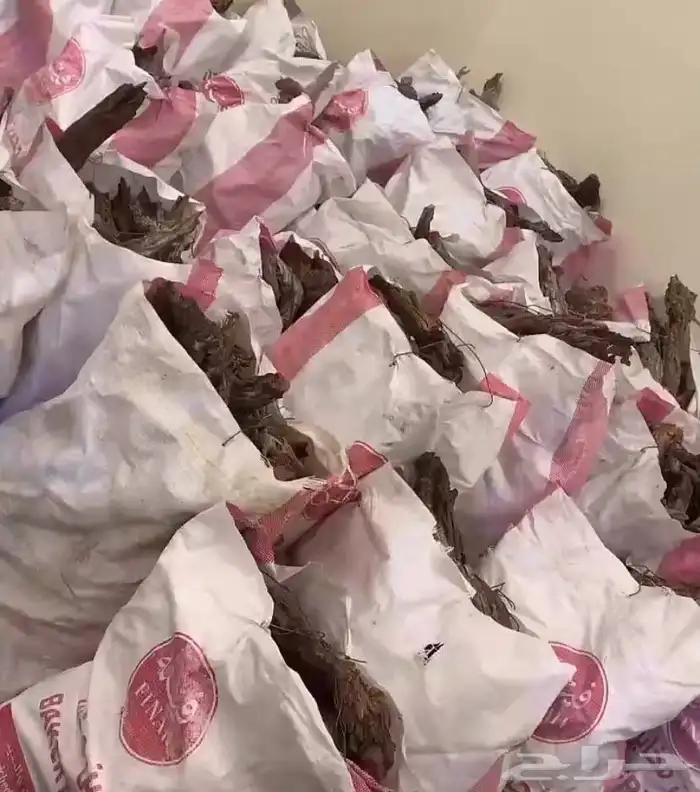 اخياش علاف غنام 0