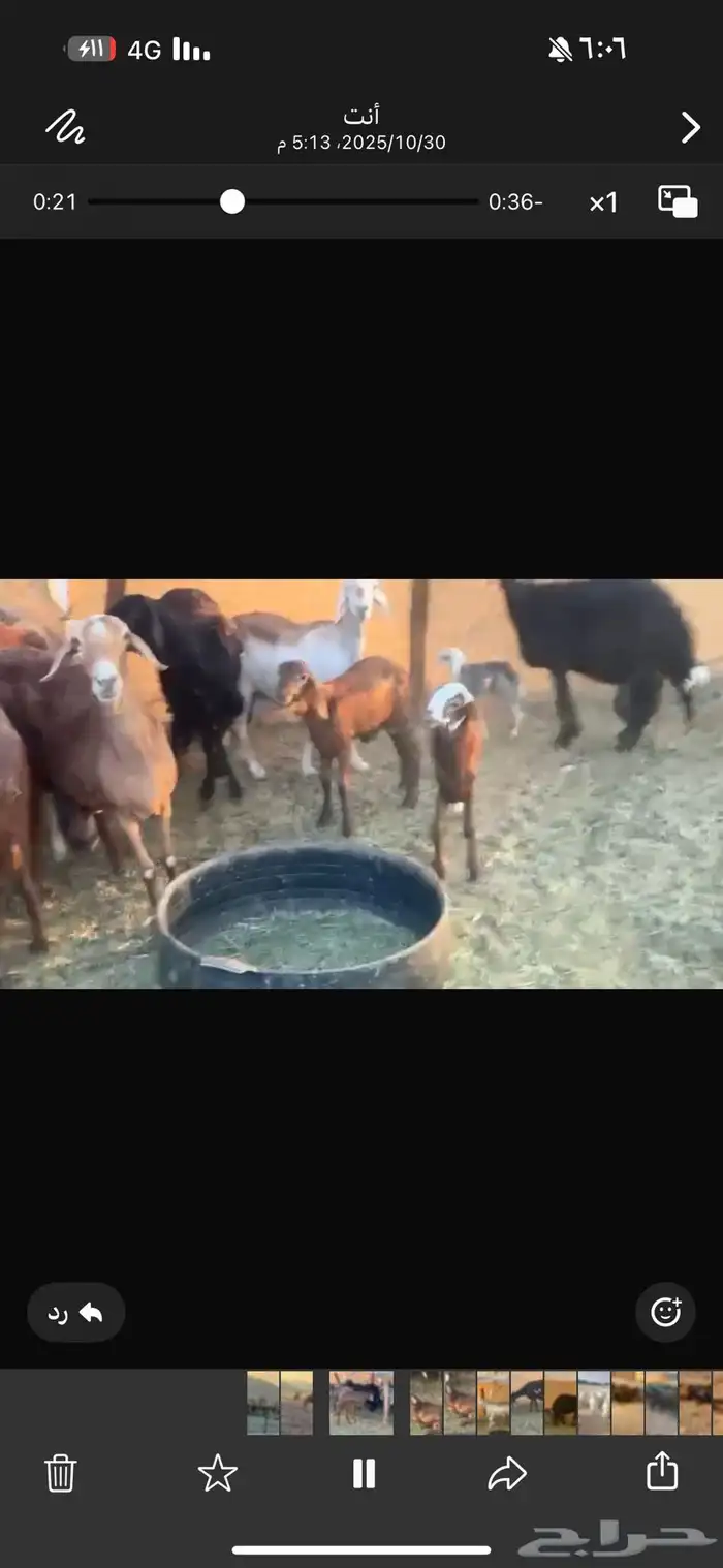 ضان سوكن ولد ودفيع 2