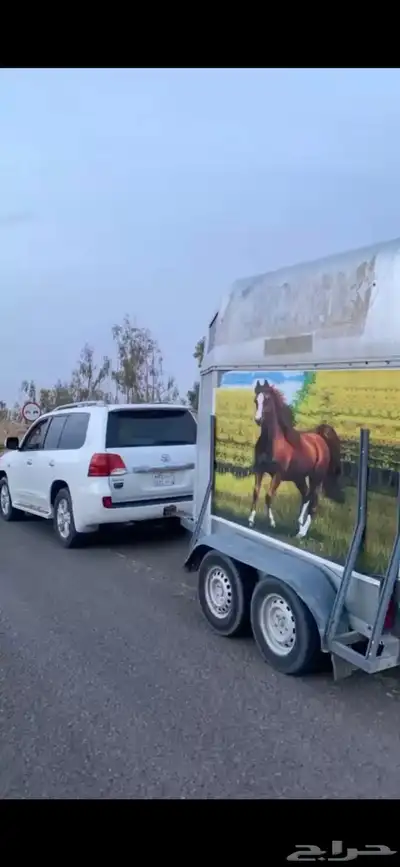عربه خيل للبيع 0
