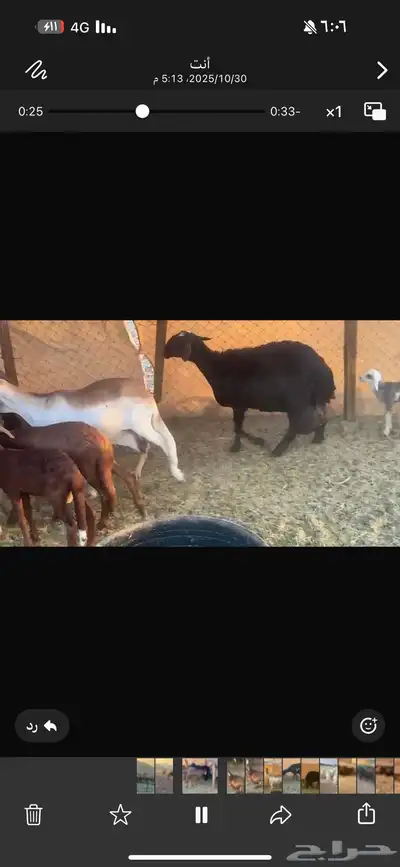 ضان سوكن ولد ودفيع index