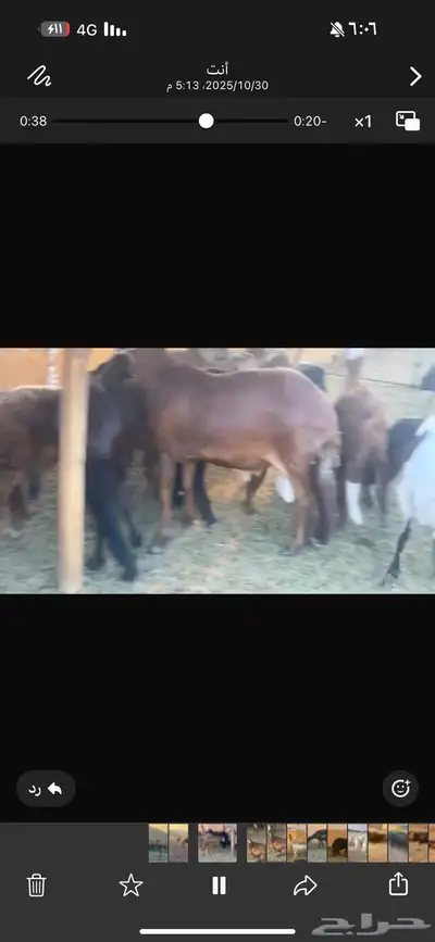 ضان سوكن ولد ودفيع index