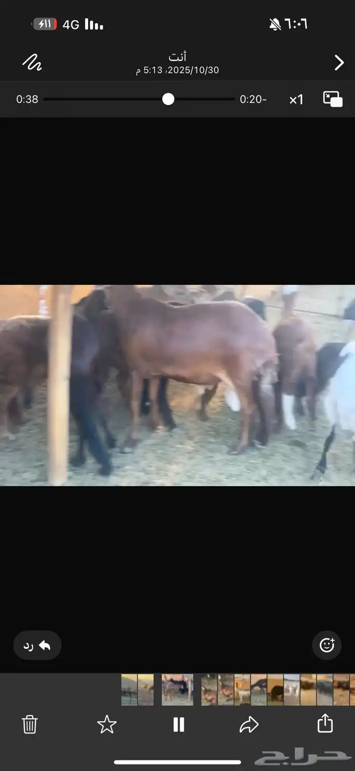 ضان سوكن ولد ودفيع 4