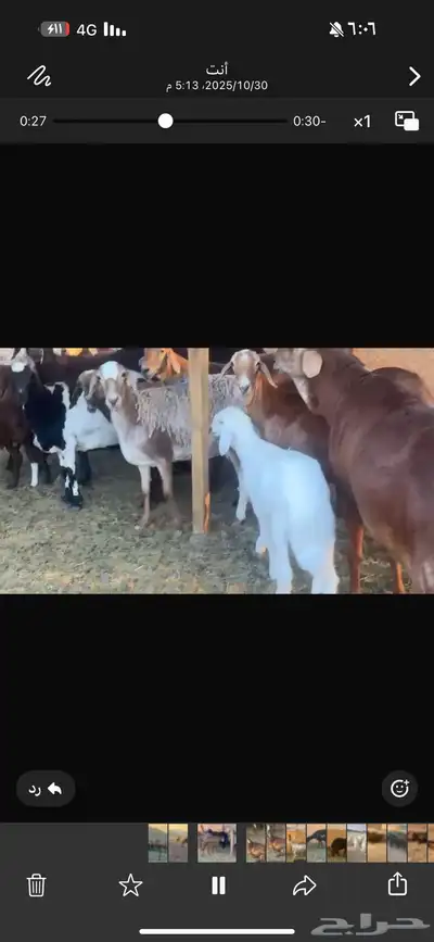 ضان سوكن ولد ودفيع index