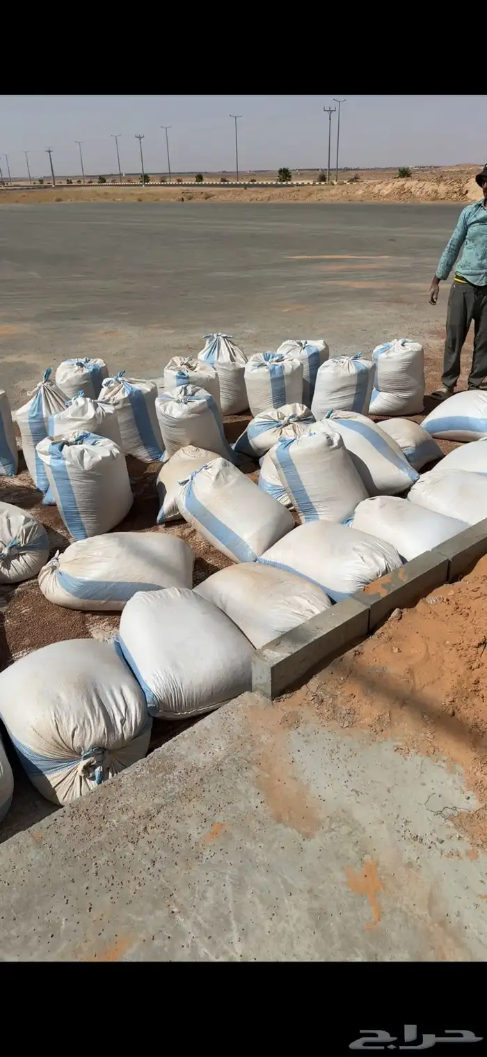 رمل بطحأ حايل 0