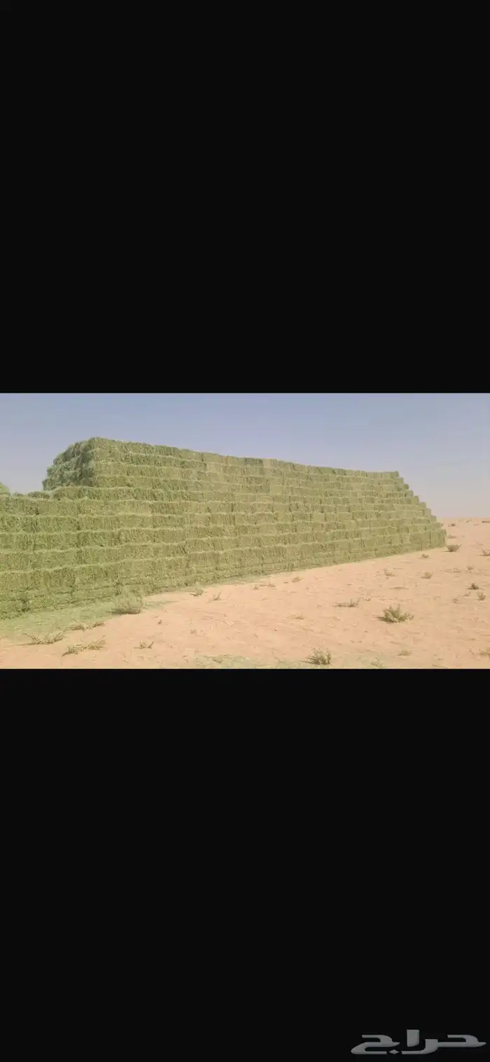 رودس ورق ناعم صاافي ((( 11 ريال فقط ))) 1