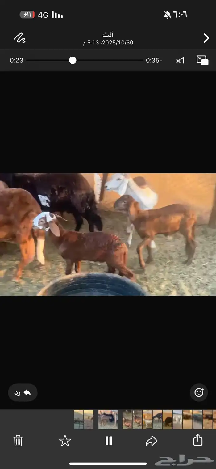 ضان سوكن ولد ودفيع 3