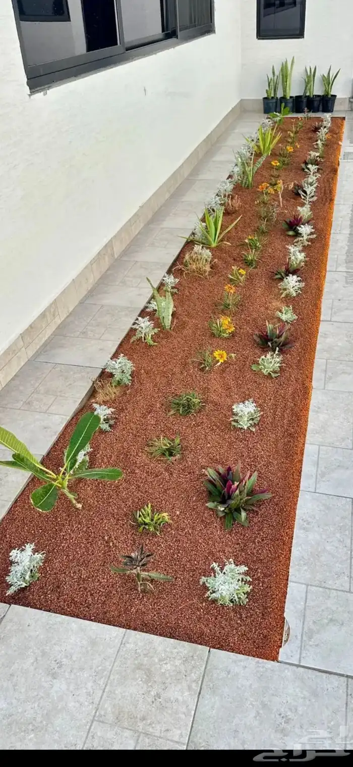 رمل بطحأ حايل 1