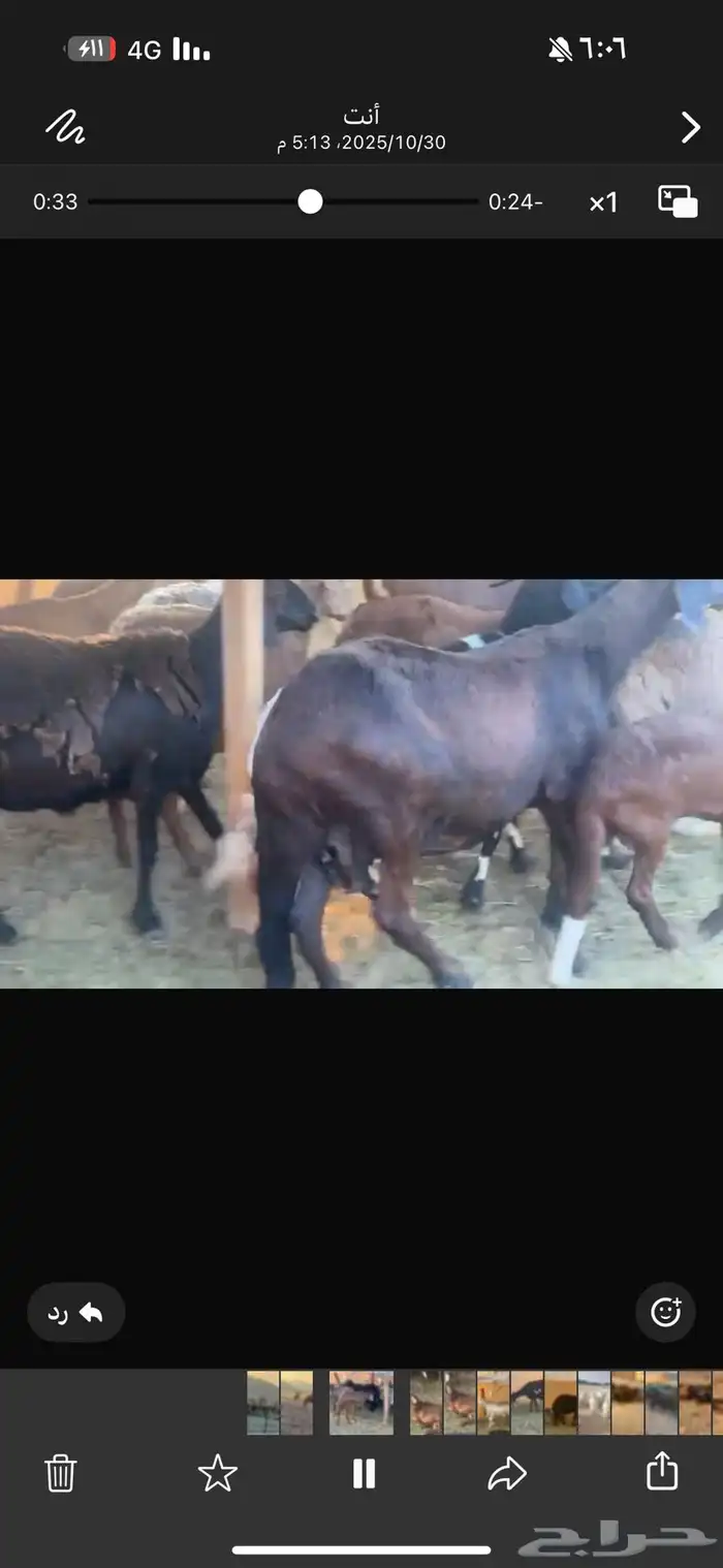 ضان سوكن ولد ودفيع 5