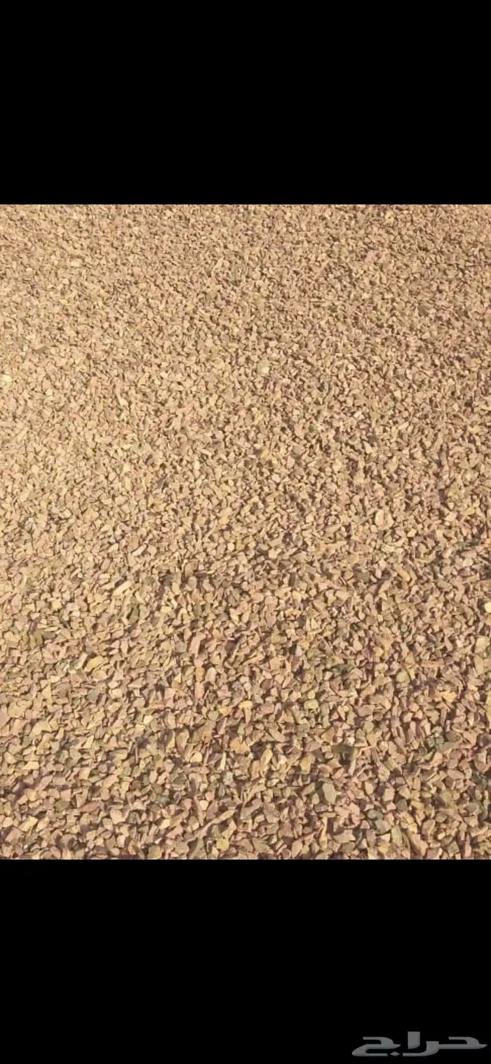رمل احمر الفريش 44