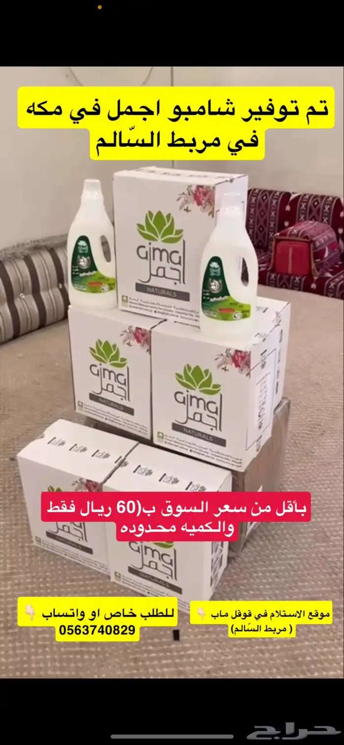 شامبو اجمل للخيل. في مكه 0