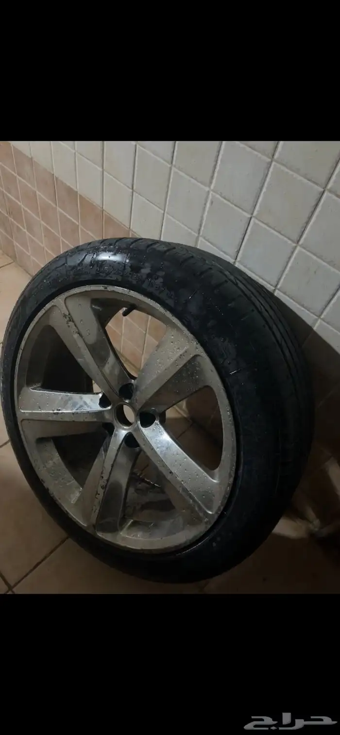 جنوط دوج او كلايزر 0