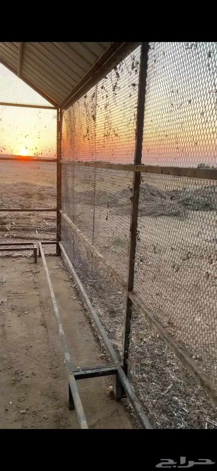 شبك حمام للبيع 7