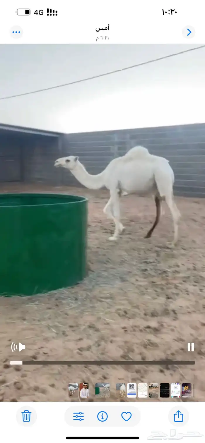 بكره وضحا سليمه من كل شي 0