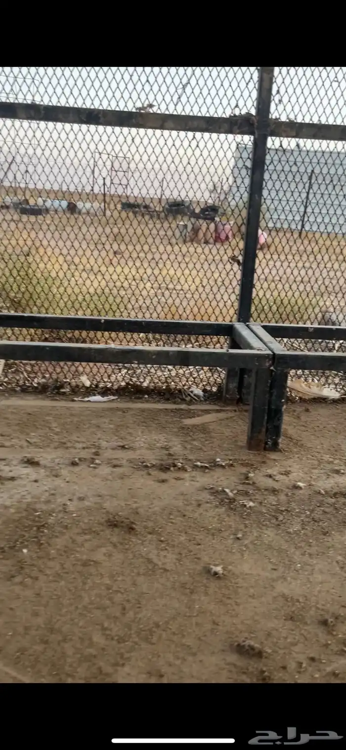 شبك حمام للبيع 8