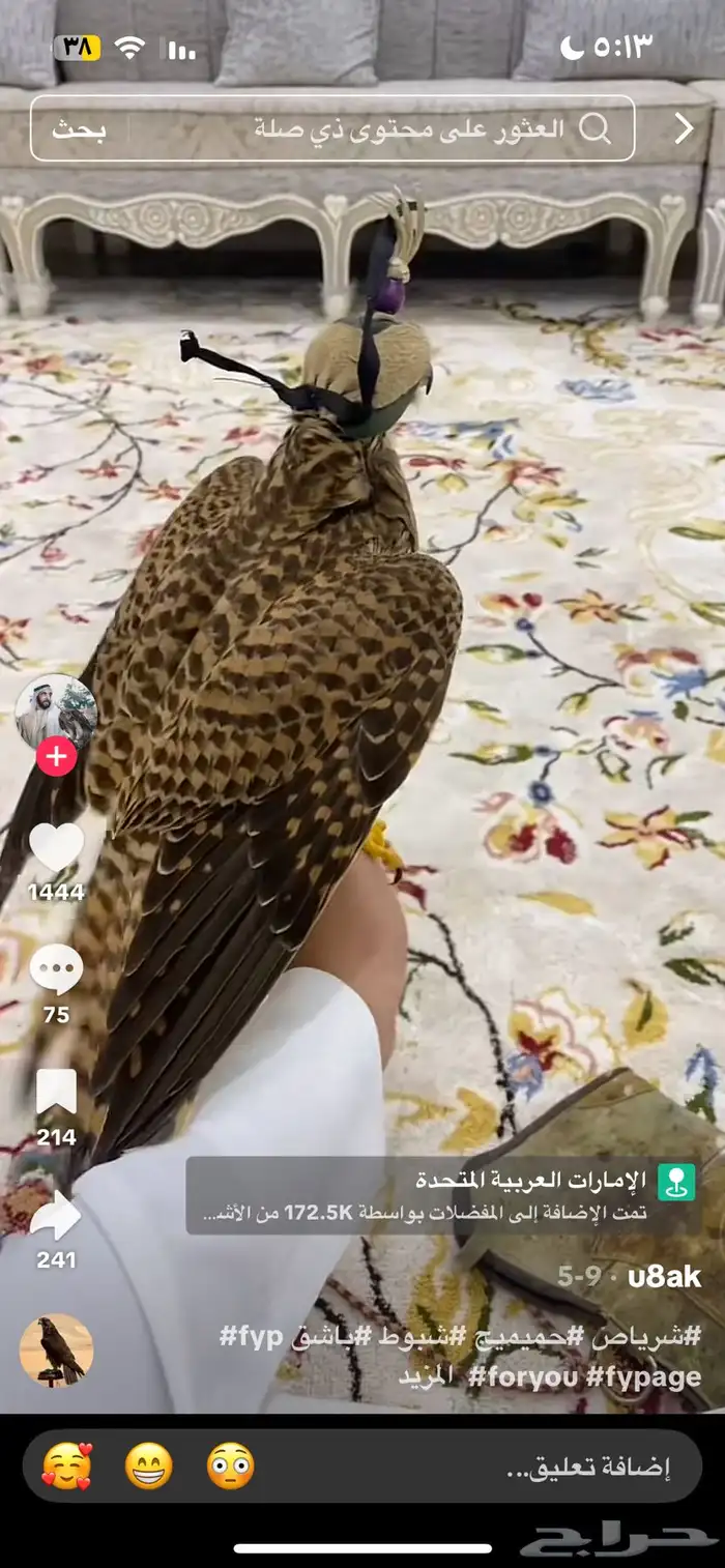 مطلوب شرياص او باشق او شبوط 1