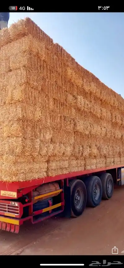 موجود تبن قمح حويل السعر 13ونص index