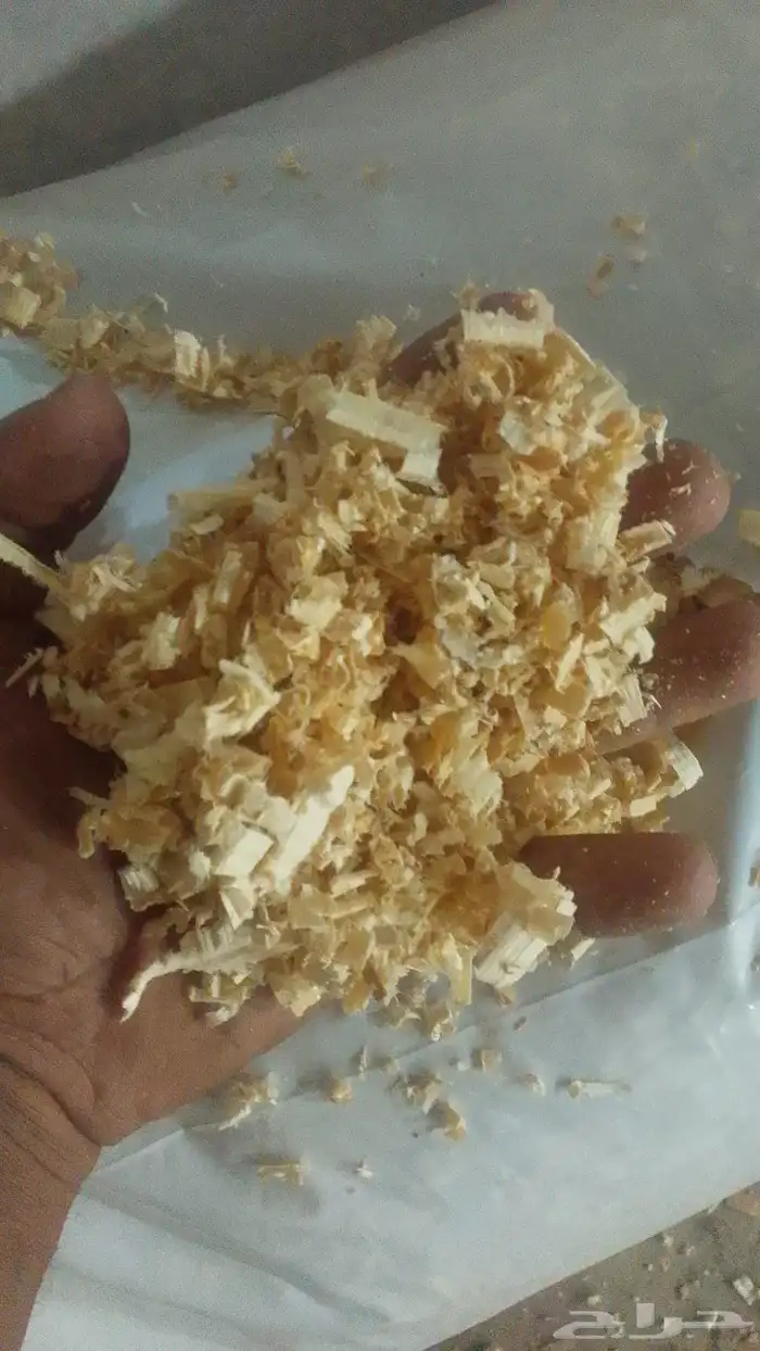 نشارة خشب نظيفه جدا 3