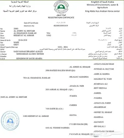 فرس واهو index