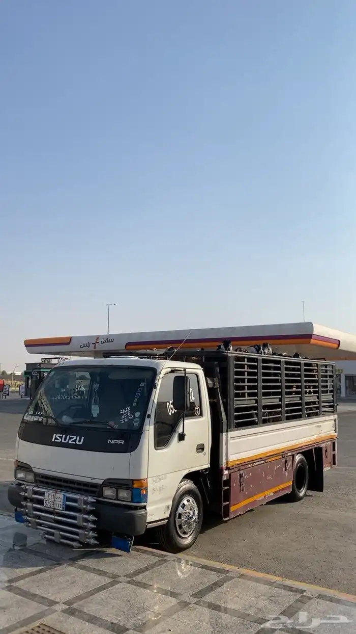 دينا طابق الحناكيه 0