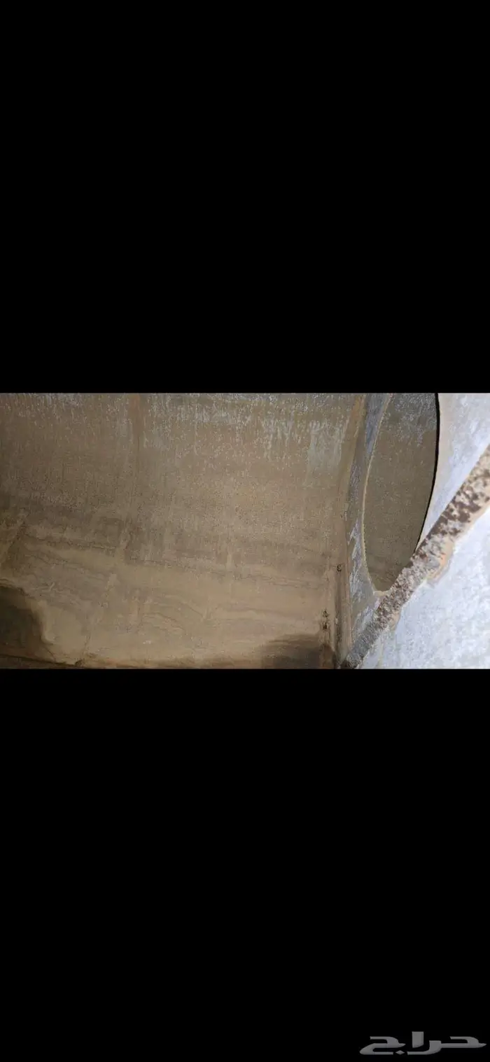 جمس لوري سكس وايت 9