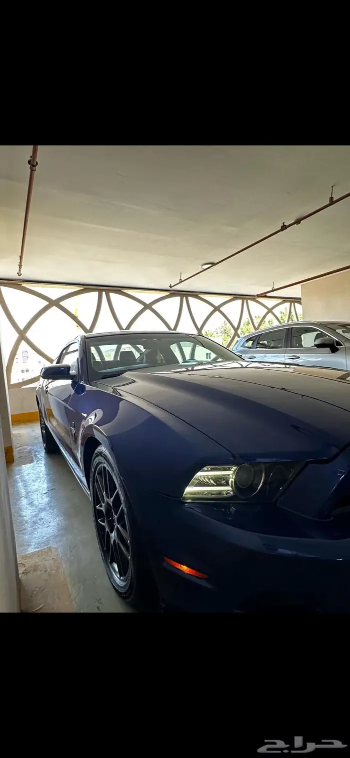 موستنج 2013 فل كامل 2