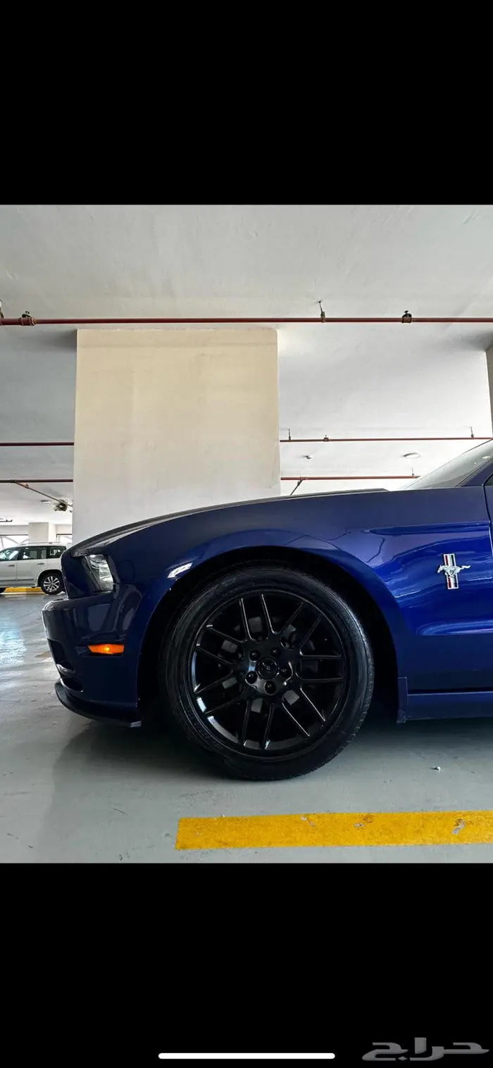 موستنج 2013 فل كامل 6