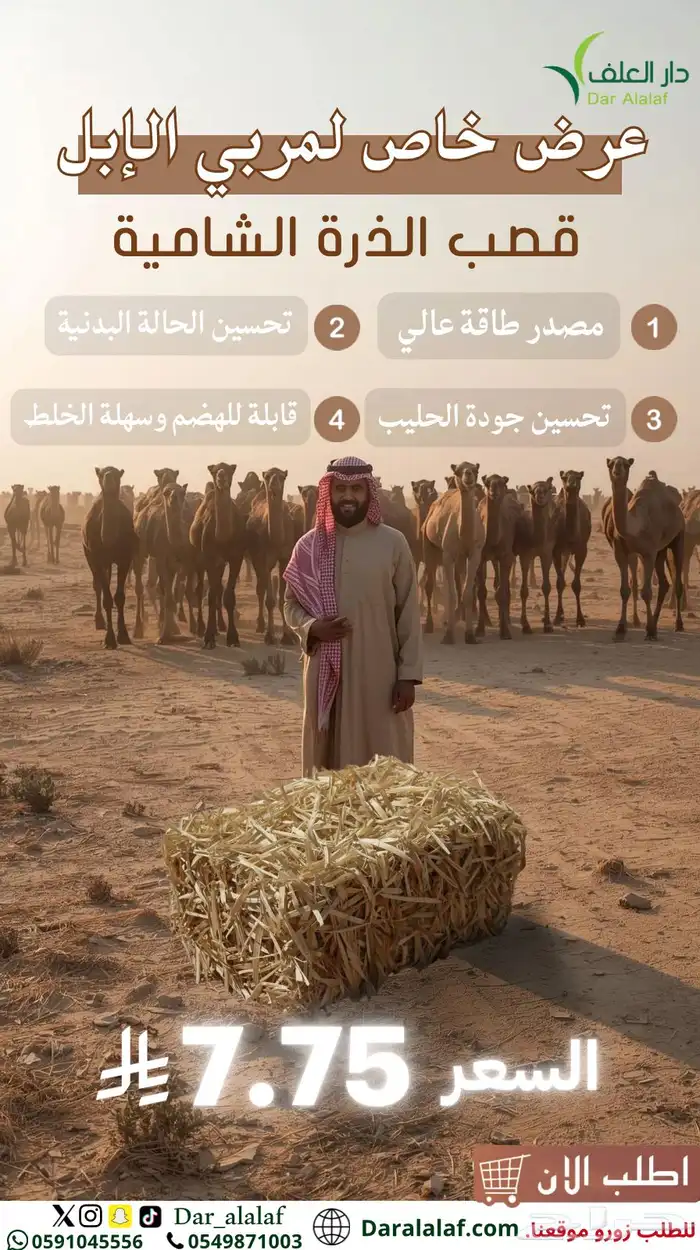 عرض خاص لمربي الإبل 0