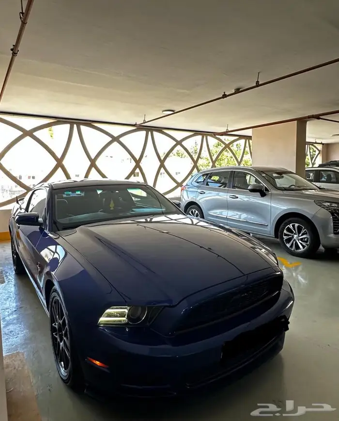 موستنج 2013 فل كامل 4