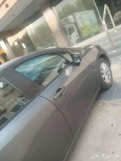 نيسات صني الشكل الجديد 2024 index