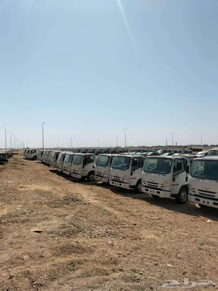 عرض اليوم دينا 2025 شاص 4.35 طن 4 اليوم30 10 2025 3