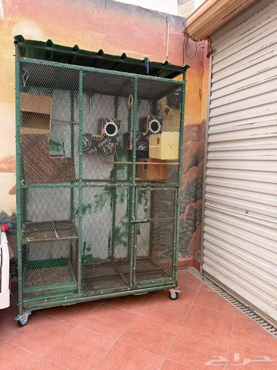 شبك طيور ببغاء وطيور زينة 0