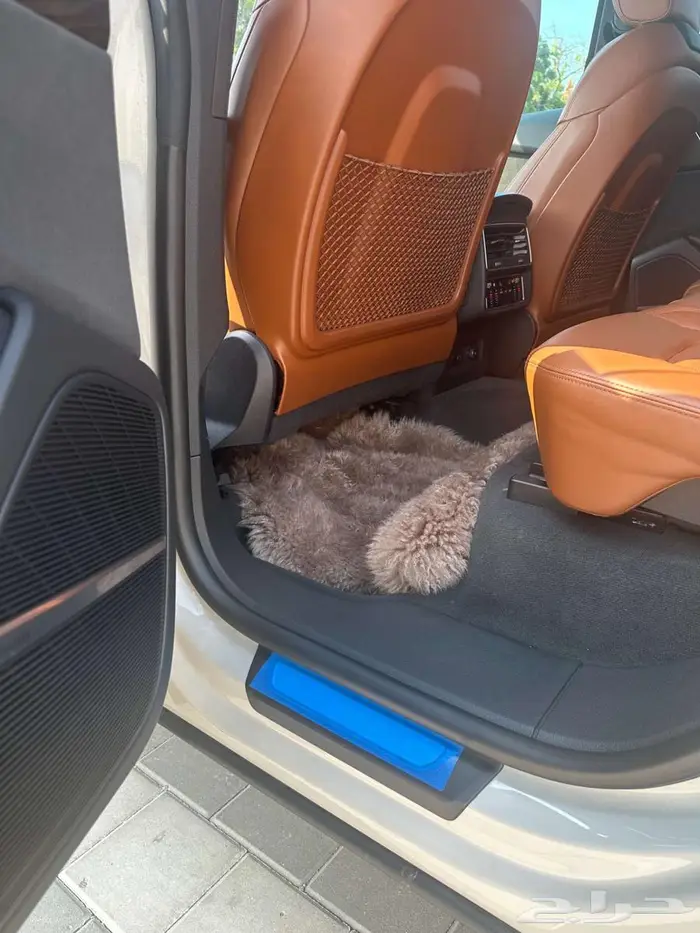 اودي Q8 بلاك اديشن اعلى مواصفات 34