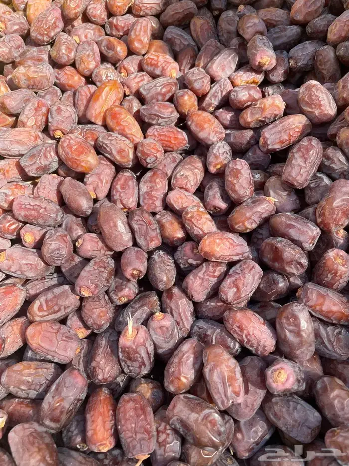 تمر نوع حقي للبيع 1