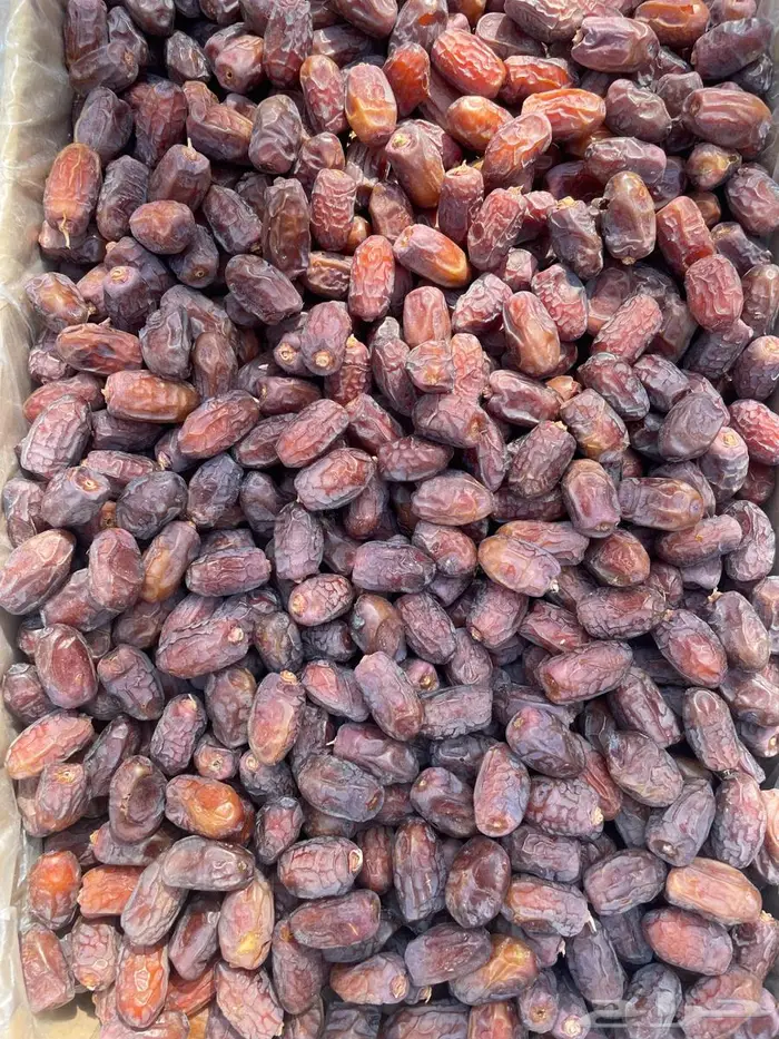 تمر نوع حقي للبيع 2