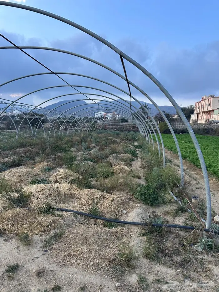 بيوت محمية 1