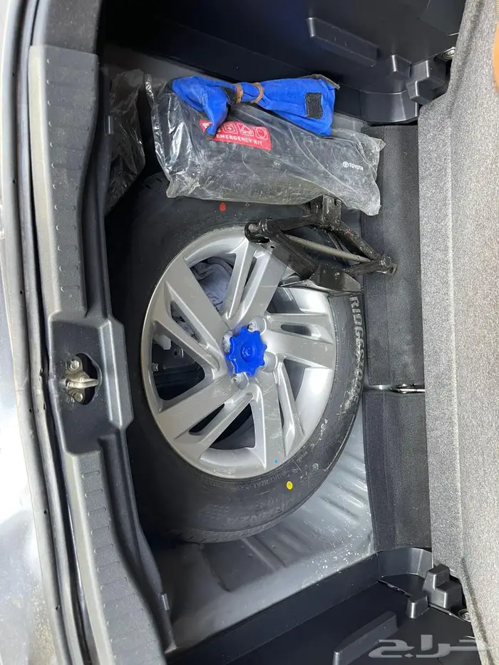 رايز 2023 مصدوم 23