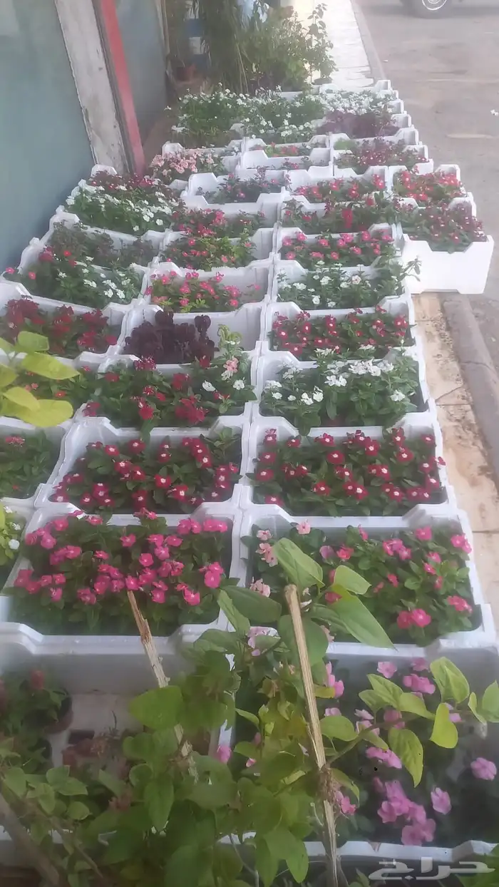 تنسيق حدائق 28