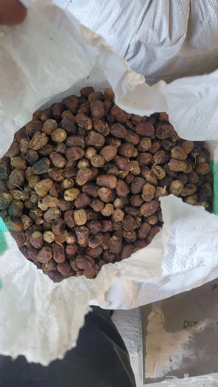 تمر حلال نضيف الوزن يترواوح على 40 كيبو 1